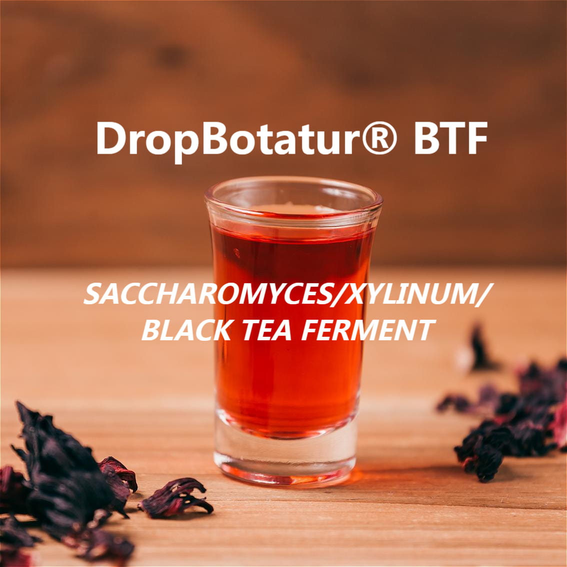 SACCHAROMYCES/XYLINUM/BLACK TEA FERMENT